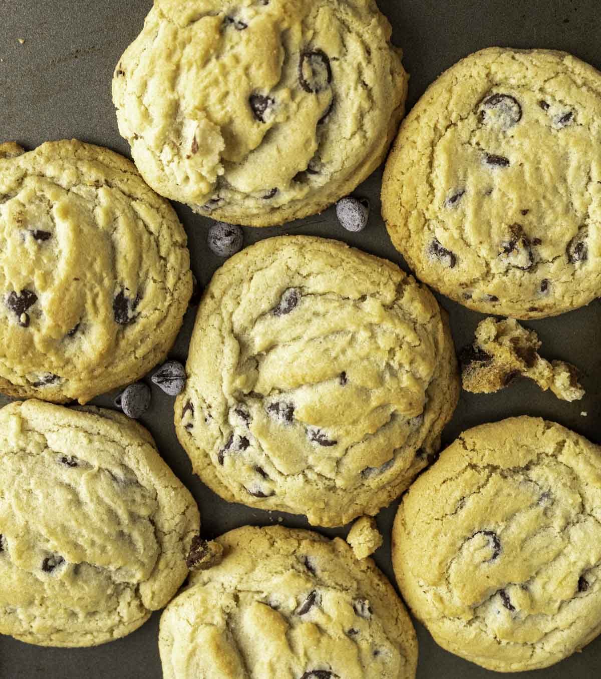 overhead close shot of chocolate cookies sitting next to each other on a baking tray.