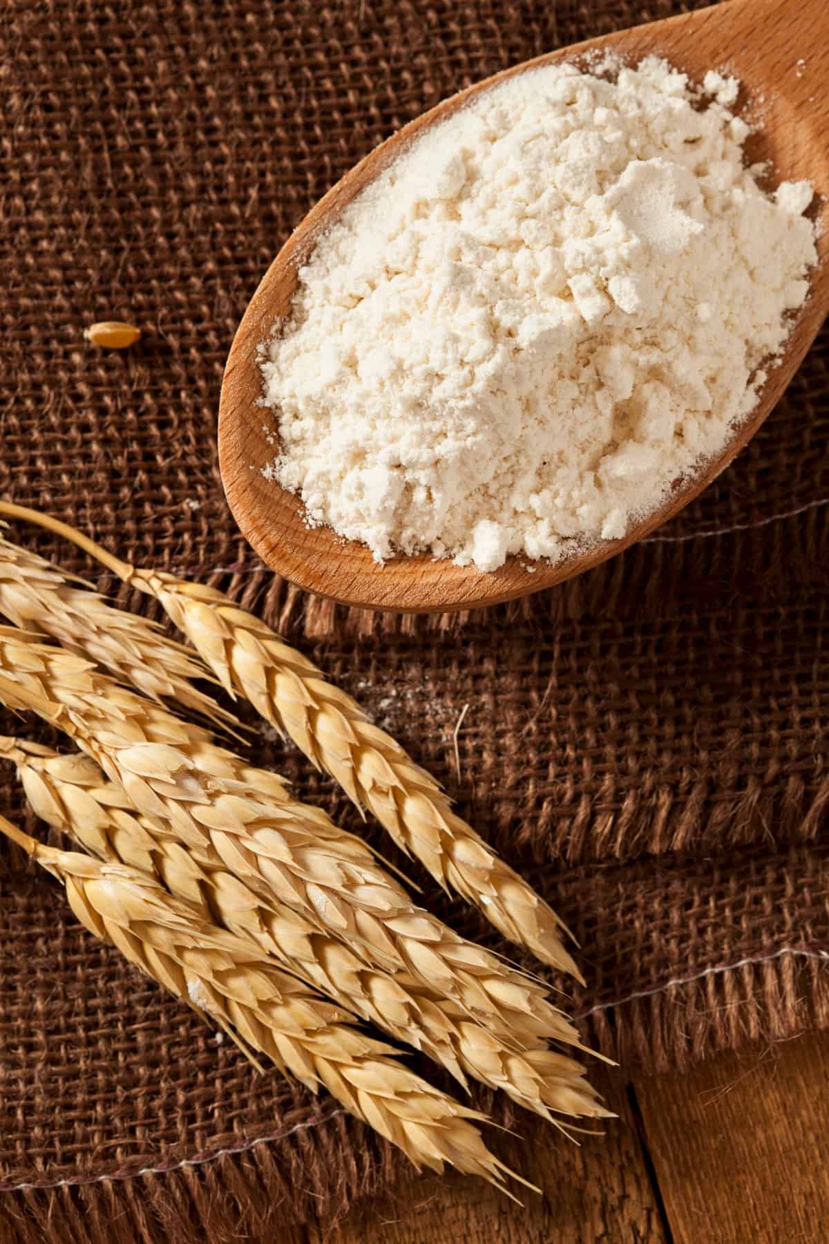 wooden spoon filled with flour with wheat grains scattered around.