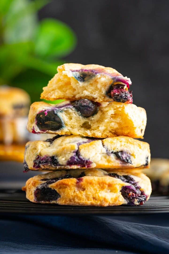 four blueberry biscuits stacked on each other with a green plant in the backdrop.