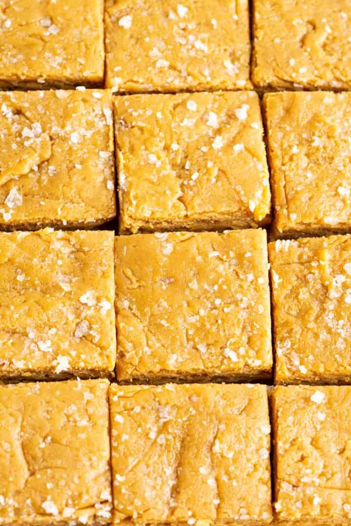 overhead shot of peanut butter fudge squares sitting side by side.