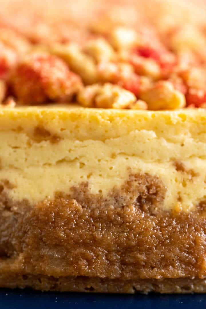 close shot showcasing the texture of the base of the cheesecake.