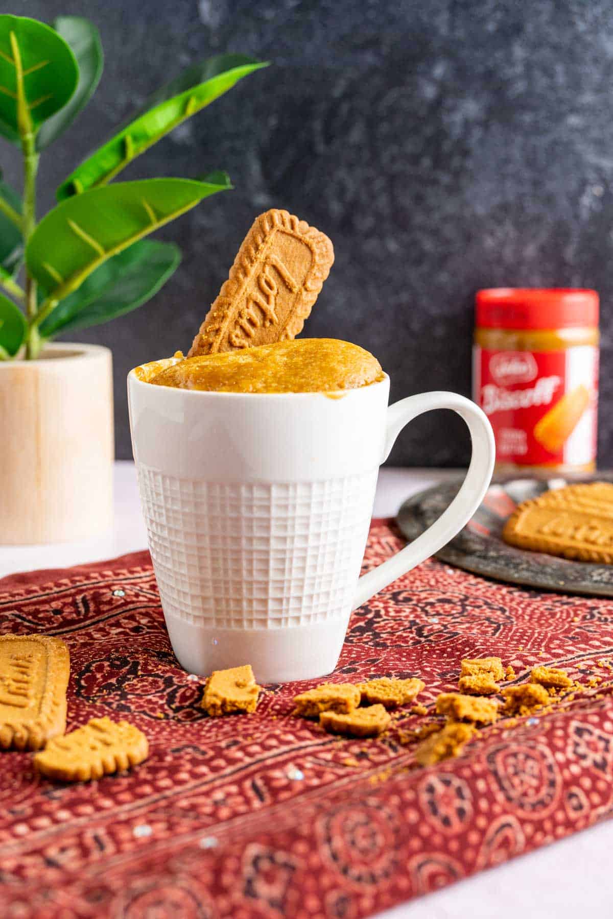 Biscoff mug cake in a white mug with biscoff cookies spread around.