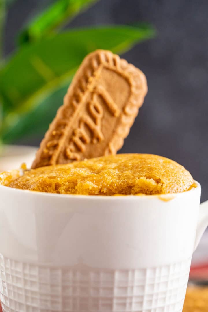 lotus biscuit dipped in a mug.