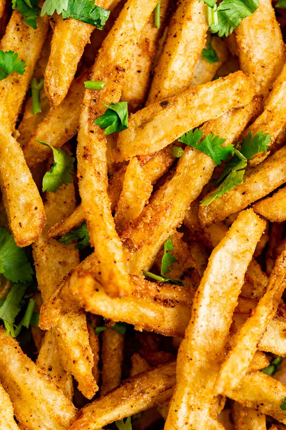 Fried masala fries coated in a special blend of spices with coriander sprinkled on top.